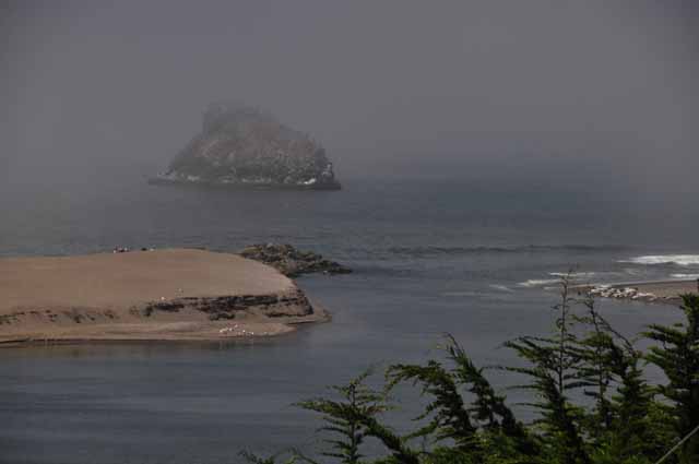 Goat Rock Beach